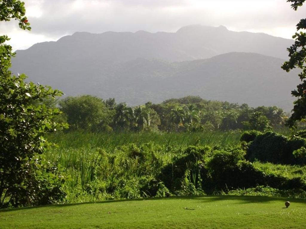 Rio Mar Village - Golf Course View Рио-Гранде Экстерьер фото